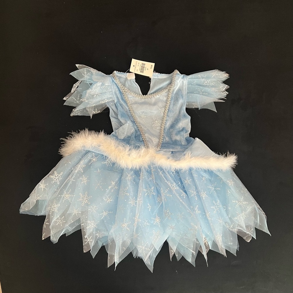 NWT Winter Fairy Costume